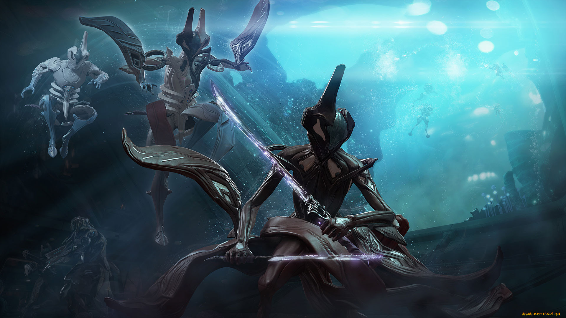  , warframe